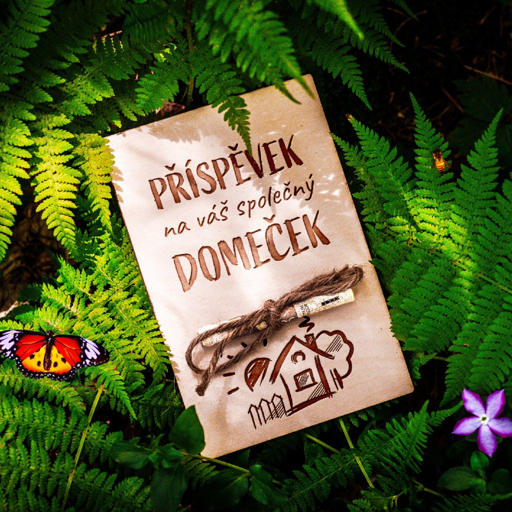 Příspěvek na váš společný DOMEČEK